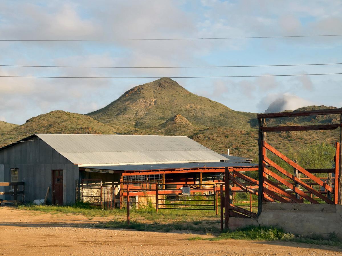 Ranch *